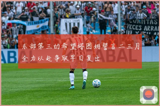 东部第三的希望塔图姆誓言二三月全力以赴争取早日复出