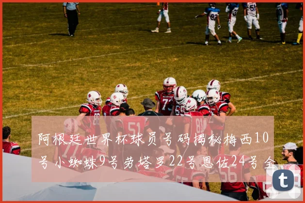 阿根廷世界杯球员号码揭秘梅西10号小蜘蛛9号劳塔罗22号恩佐24号全解析